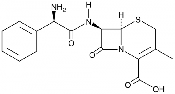 Cefradine