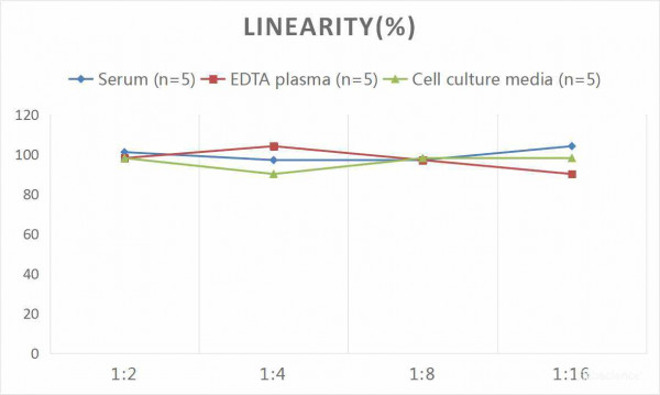 Human FGF23 (Fibroblast Growth Factor 23) CLIA Kit