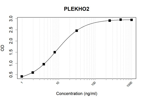 Anti-Human PLEKHO2 Antibody Pair