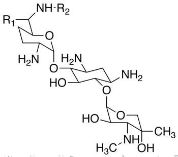 Gentamycin (Gentamicin) Sulfate Solution 50mg/ml (Micromonospora purpurea)