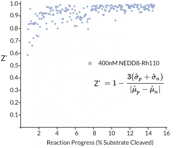 NEDD8 (human) (rec.) (Rhodamine 110)
