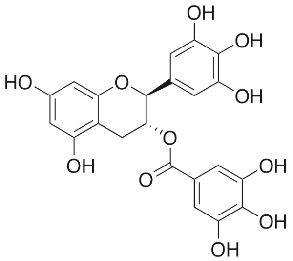 Gallocatechin Gallate