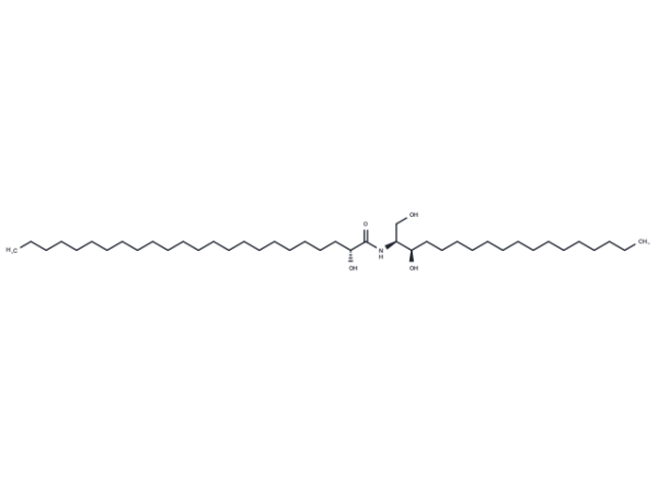 C24 (2'(R)-hydroxy) dihydro Ceramide (d18:0/24:0)
