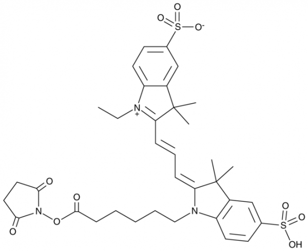 Cy3-SE