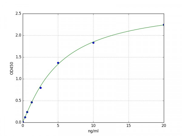 Human MAP2 ELISA Kit