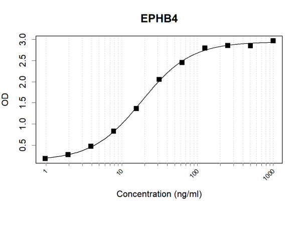 Anti-Human EPHB4 Antibody Pair