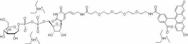 Glucose-UDP-(PEG)6-Fluorescein Conjugate