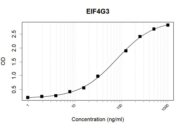 Anti-Human EIF4G3 Antibody Pair