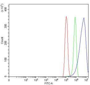 Anti-CPEB4