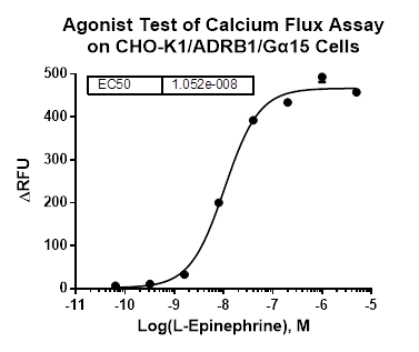 CHO-K1/ADRB1/Galpha15 Stable Cell Line
