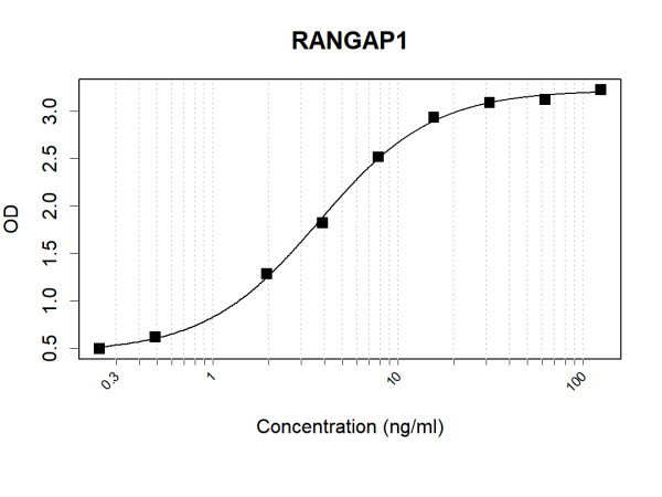 Anti-Human RanGAP1 Antibody Pair