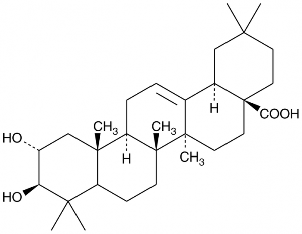 Maslinic Acid