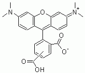 5-(and 6)-TAMRA (5-(and-6)-Carboxytetramethylrhodamine) *Validated for labeling peptides and oligos*