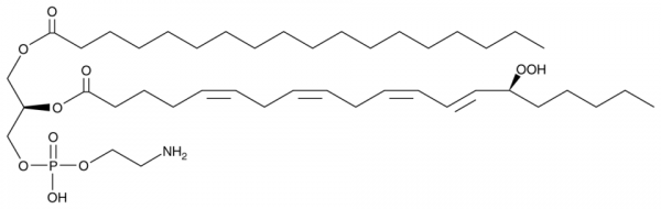 1-Stearoyl-2-15(S)-HpETE-sn-glycero-3-PE