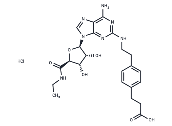 CGS 21680 Hydrochloride
