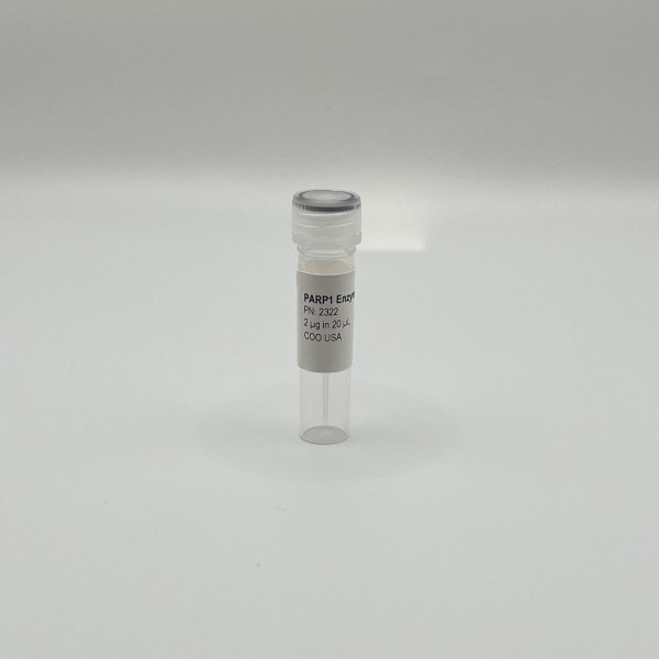 Recombinant PARP1 Enzyme, Active, Human