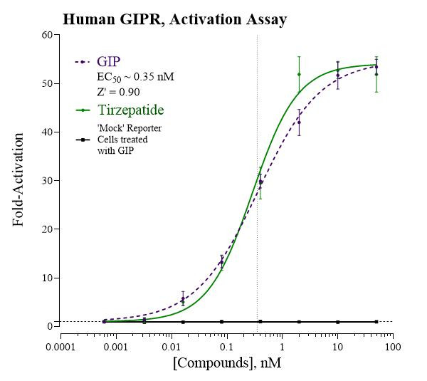 GIPR Inhibition Reporter Assay System (human)