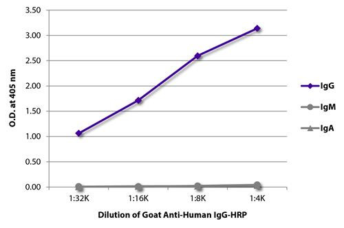 Anti-Human IgG (HRP), pre-adsorbed [Goat]