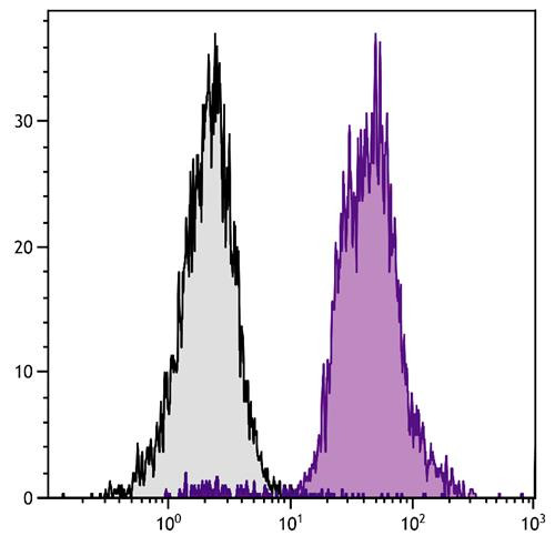 Anti-CD45 (APC), clone 104