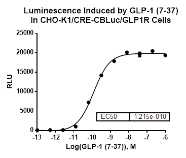 CHO-K1/CRE-CBLuc/GLP1R