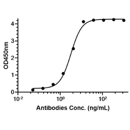 Anti-Complement C5 Antibody (Eculizumab)