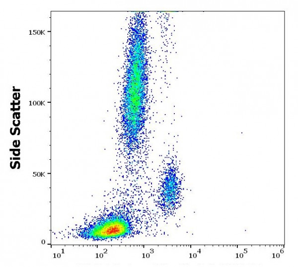 Anti-CD116, clone 4H1