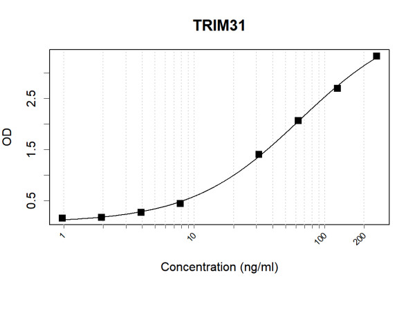 Anti-Human TRIM31 Antibody Pair