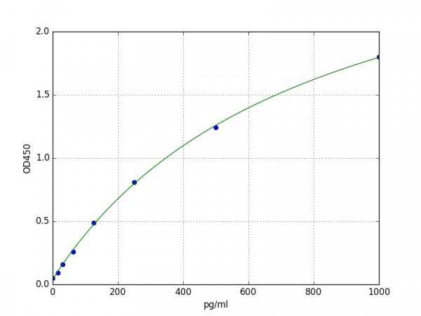 Rabbit S100B / S100 beta ELISA Kit