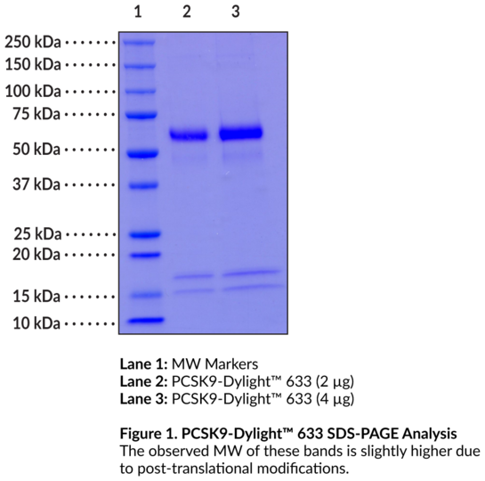 PCSK9-DyLight(TM) 633