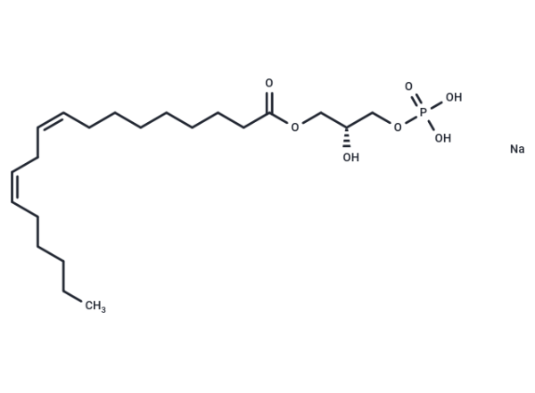 1-Linoleoyl Lysophosphatidic Acid sodium