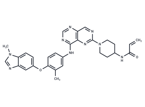Zongertinib