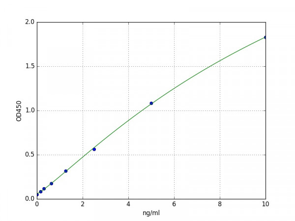 Human CAMK2A / CaMKII alpha protein CaM Kinase II alpha ELISA Kit