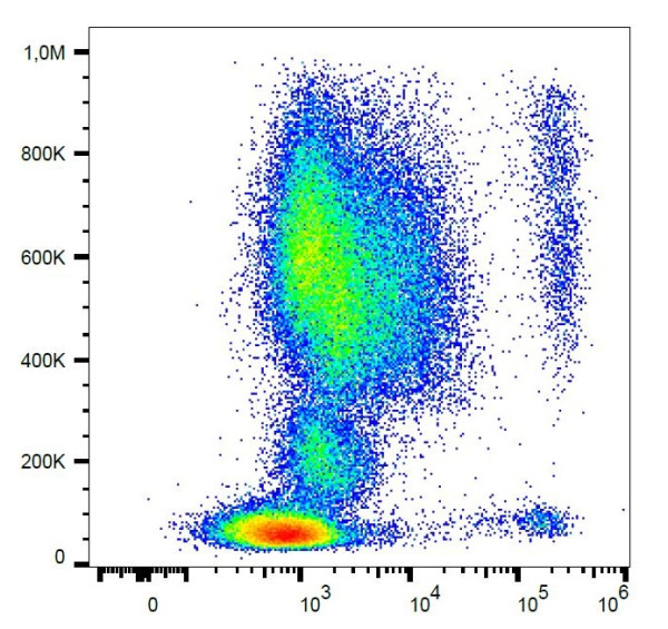 Anti-CD193 / CCR3, clone 5E8