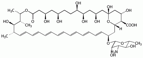 Amphotericin B