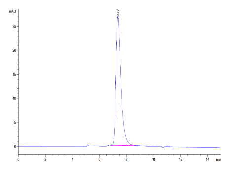 KIR2DL2, His &amp; Avi, Human