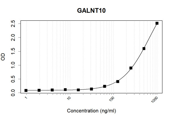 Anti-Human GALNT10 Antibody Pair