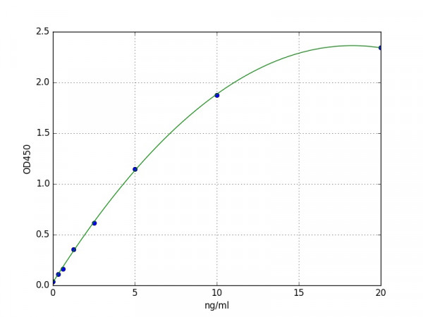 Human SLC12A1 / Solute carrier family 12 member 1 ELISA Kit