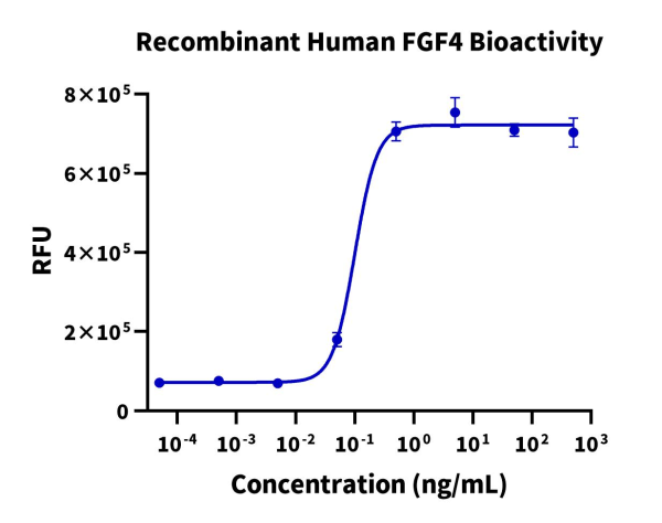 Human FGF4 Protein