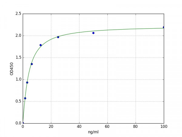 Human VWF (Von Willebrand Factor) ELISA Kit