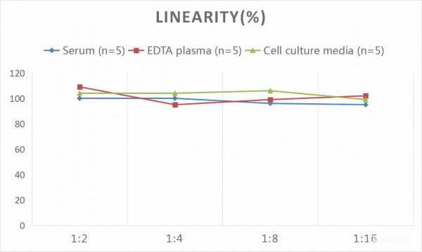 Mouse IL-18 (Interleukin 18) CLIA Kit