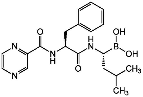 PS-341 [Bortezomib]