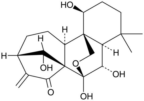 Oridonin