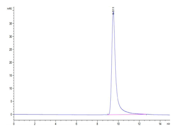 Cynomolgus ANGPTL4/Angiopoietin-like 4 Protein