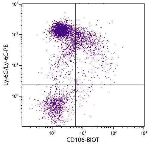 Anti-CD106 / VCAM1 (Biotin), clone M/K-2
