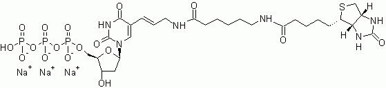 Biotin-11-dUTP *1 mM in Tris Buffer (pH 7.5)*