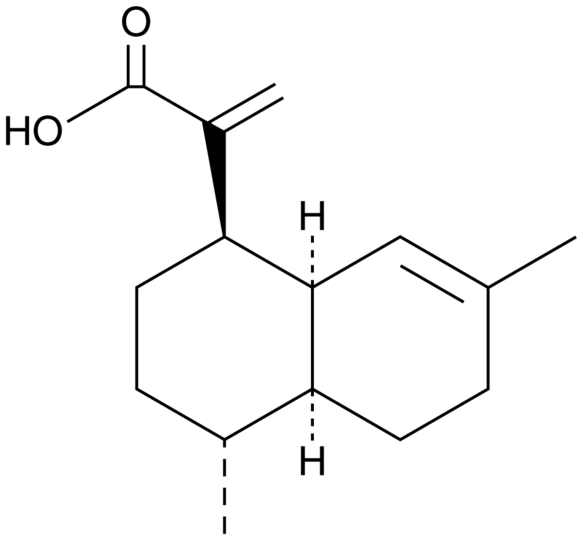 Artemisinic Acid