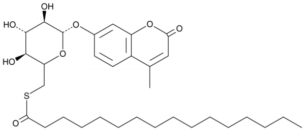 4-Methylumbelliferyl 6-thio-Palmitate-beta-D-Glucopyranoside
