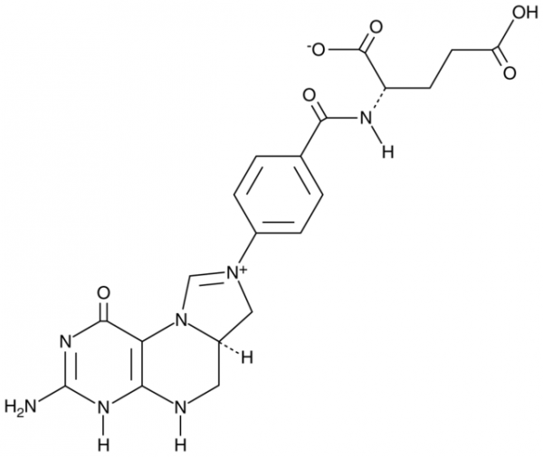 (6R,S)-5,10-Methenyl-5,6,7,8-tetrahydrofolic Acid