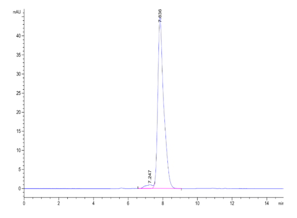 Human IL-17RE Protein