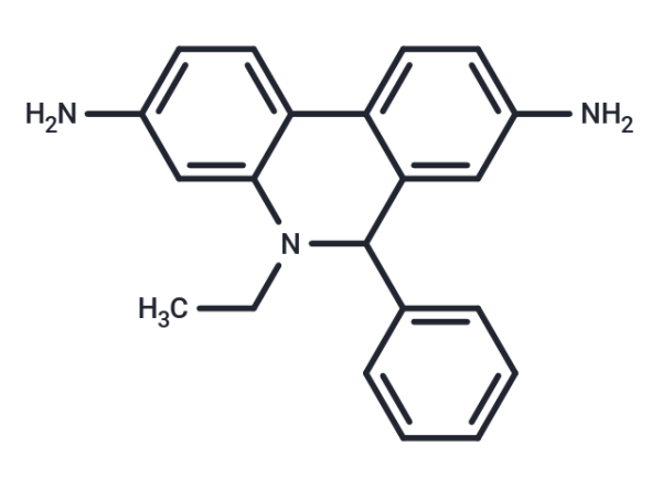 Dihydroethidium